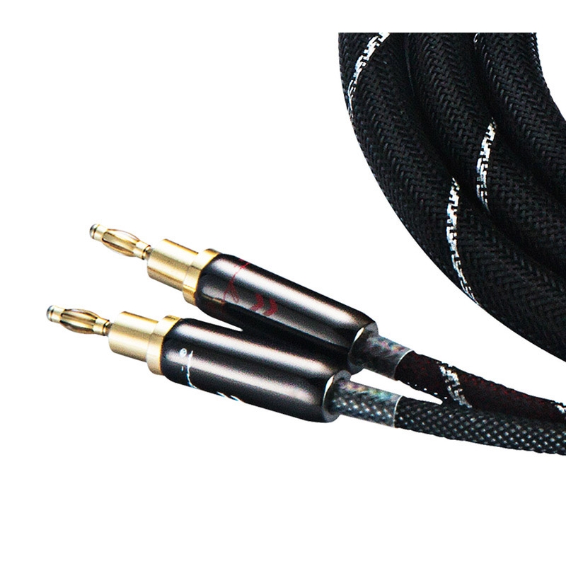 Cayin CS-50 SP Hi Fi Gold Câble Audio Gaine PVC Câble Haut-Parleur 2.5M Paire