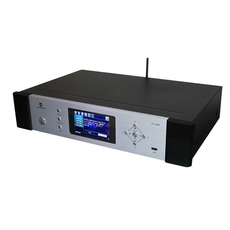 ToneWinner TY-i30 WiFi Bluetooth Dampfer verlustfreier Hifi Net Musikplayer 192KHz/24Bit