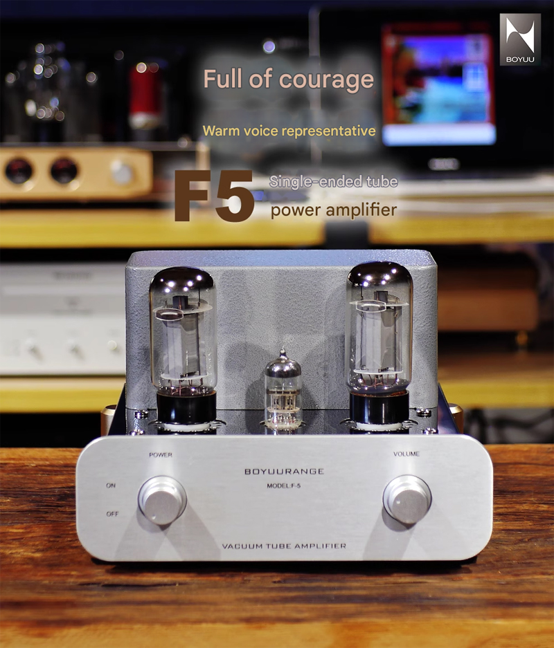 REISONG Boyuu F5 MINI tube Amplifier 6N1 Push 6L6 electron tube Single-ended Power Amplifier REISONG Boyuu F5 MINI tube Amplifier 6N1 Push 6L6 electron tube Single-ended Power Amplifier