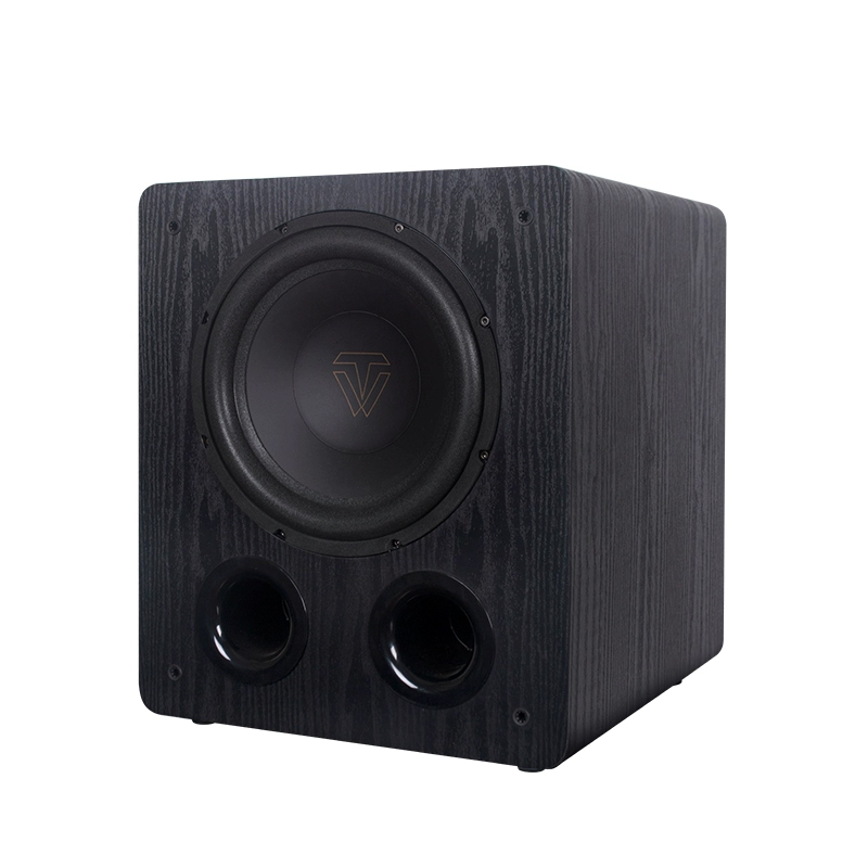 ToneWinner SW-D1000 10 PORTED SUBWOOFER 200W