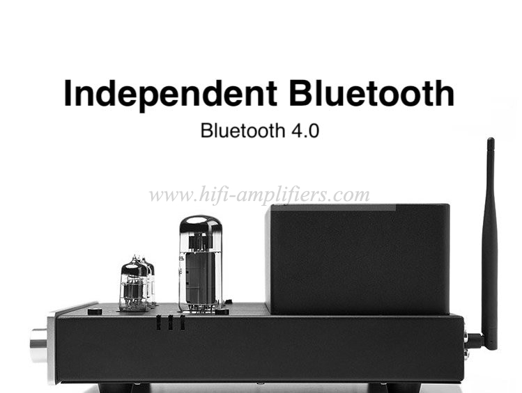 RFTLYS EA1A EL34 tube Headphone Amplifier & HiFi Integrated Amp with Bluetooth