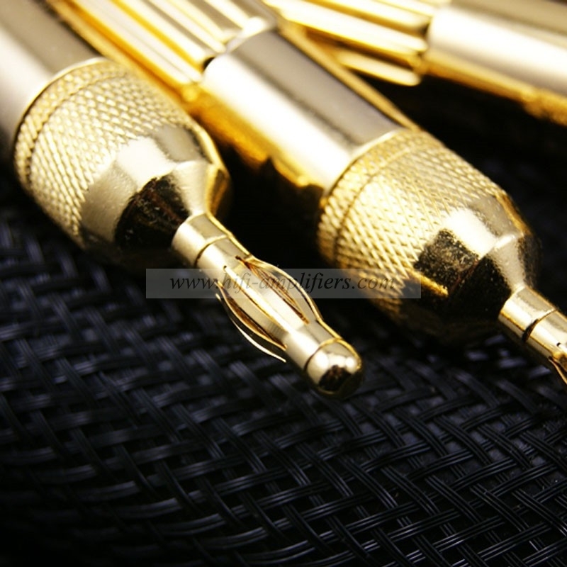 Choseal LA-5101 6N OCC Audiophile HIFI Speaker Cable  24K gold-plated banana plug  2.5m