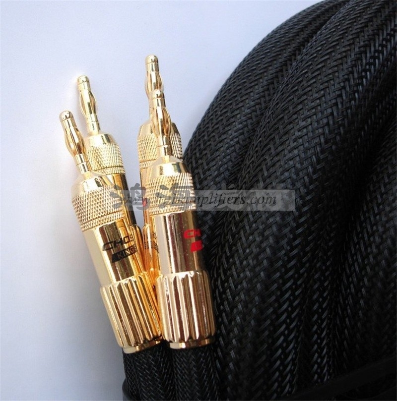 Choseal LA-5101 6N OCC Audiophile HIFI Speaker Cable  24K gold-plated banana plug  2.5m