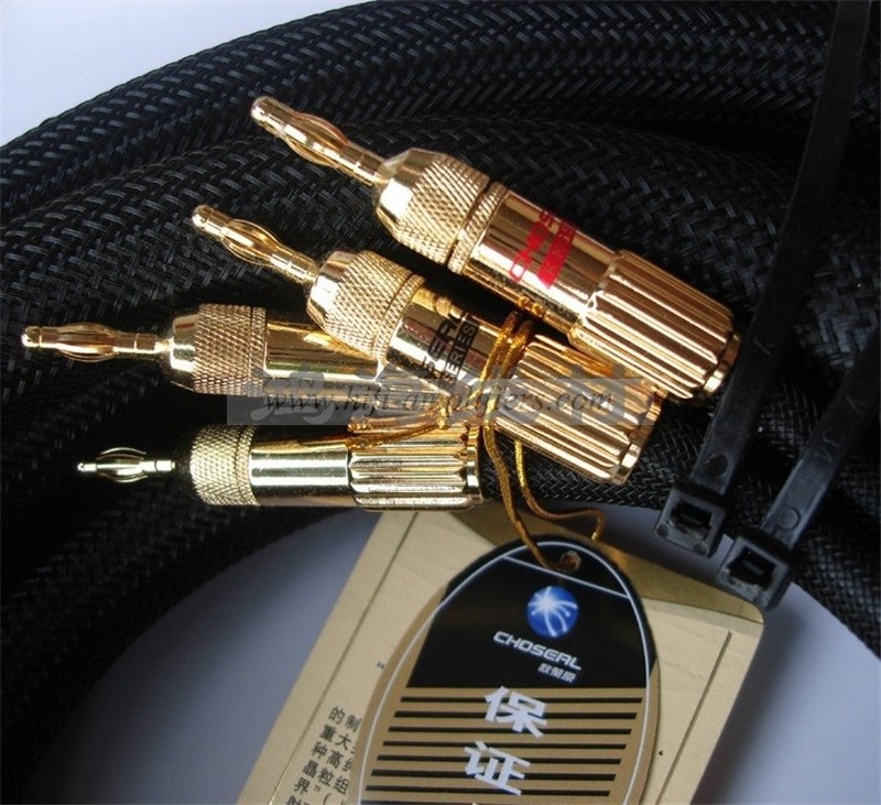 Choseal LA-5101 6N OCC Audiophile HIFI Speaker Cable  24K gold-plated banana plug  2.5m