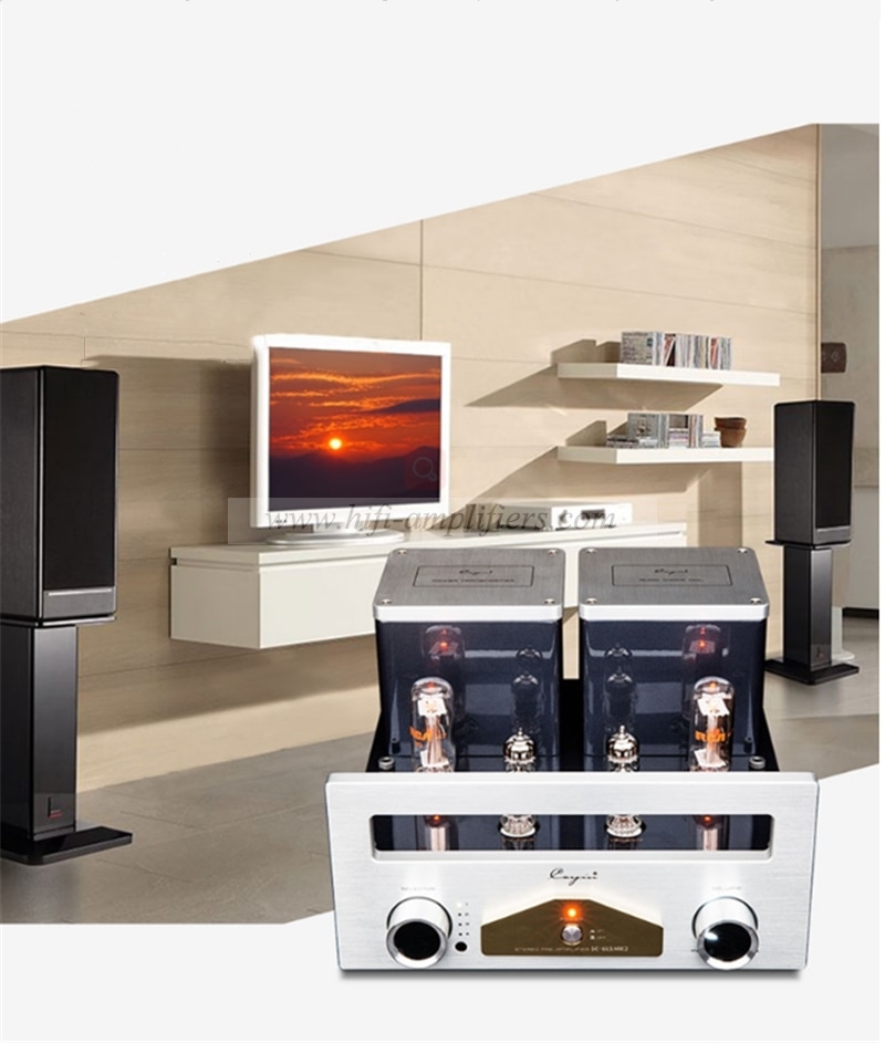 Cayin SC6LS MK2 12AU7 EH tube Stereo preamp HiFi Valve Preamplifier