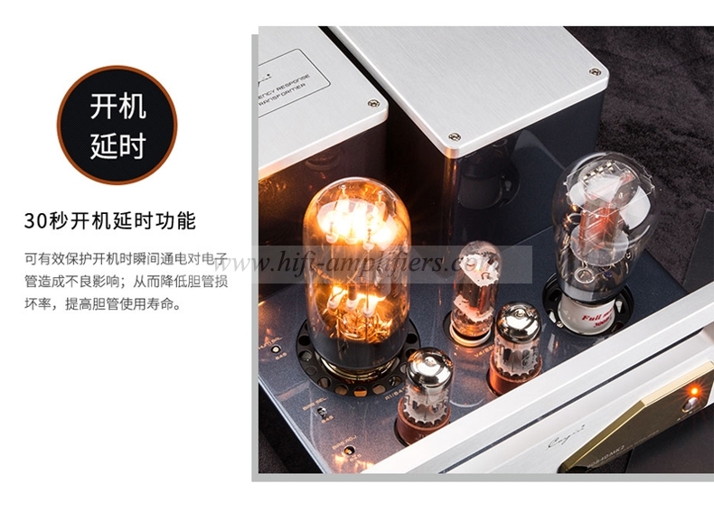 Cayin 9084D MK2 tube 300B 845 Dual Monoblock Power Amplifier valve Amp