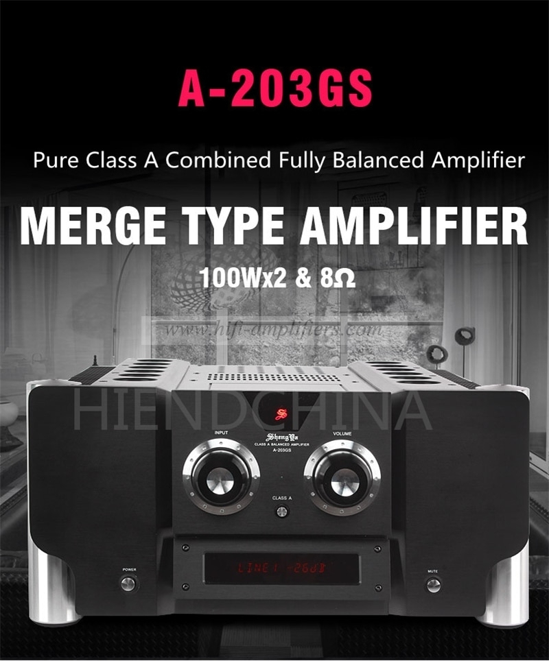 ShengYa A-203GS Transistor Amplifier Class A Integrated amp Full balanced