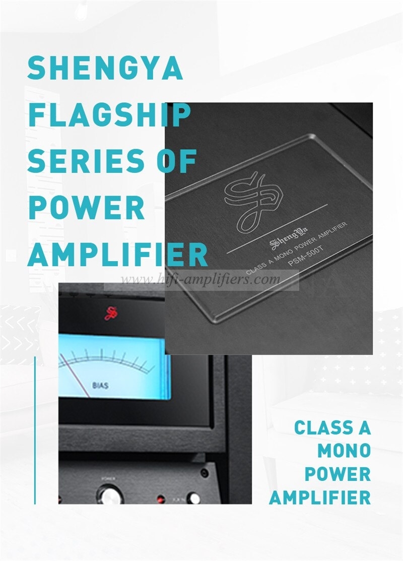 ShengYa PSM-500T CLASS A MONO POWER AMPLIFIER Full Balanced hybrid Amplifier Pair