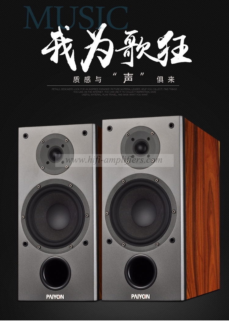 PAIYON P4 hifi Passive bookshelf loudspeaker 6.5 inch audiophile speakers pair