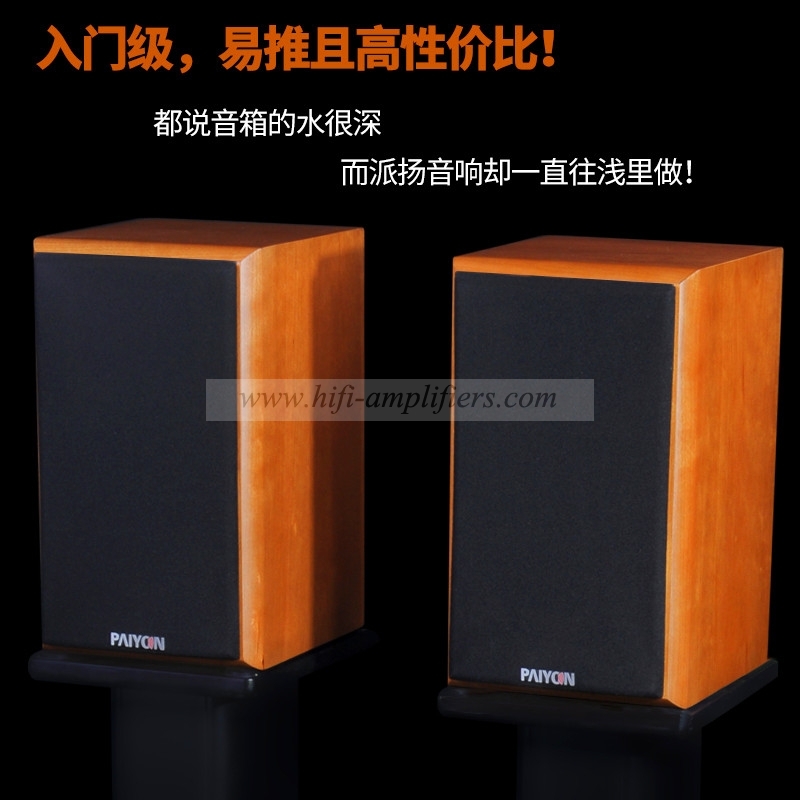 PAIYON Ling-Yun audiophile loudspeaker HiFi tube amplifier Passive Speakers pair