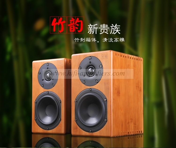 Paiyon Zhu Yun Hifi Audiophile Loudspeaker Tube Amplifier Passive