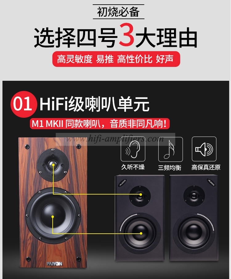 PAIYON No-4 HiFi Bookshelf Loudspeaker 6.5 Inch Passive Speaker pair