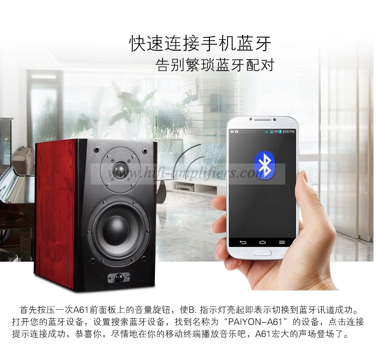 PAIYON A61 HiFi Active Monitor Speaker Decode & Bluetooth Audiophile Loudspeaker