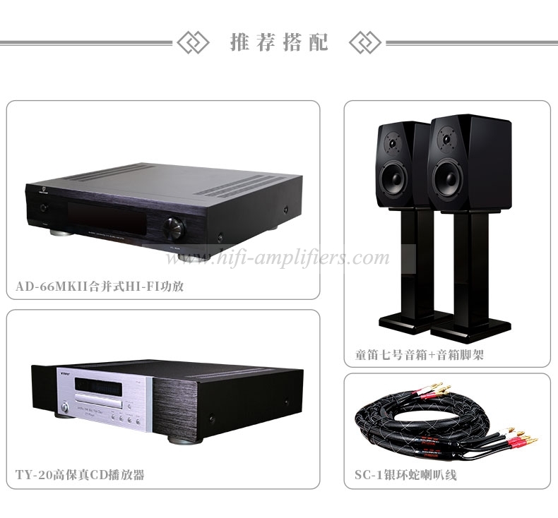 ToneWinner AD-66MKII Hi-Fi Integrated amplifier & power Amp Class A