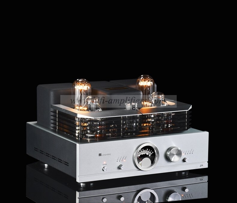 MUZISHARE R100 300B push 845 211 805 Single-ended Class A HiFi tube Amplifier Balance & Phono output Upgraded