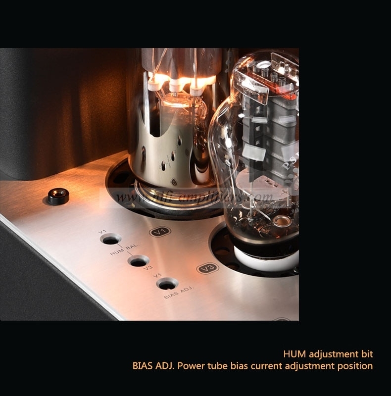 MUZISHARE R100 300B push 845 211 805 Single-ended Class A HiFi tube Amplifier Balance & Phono output Upgraded