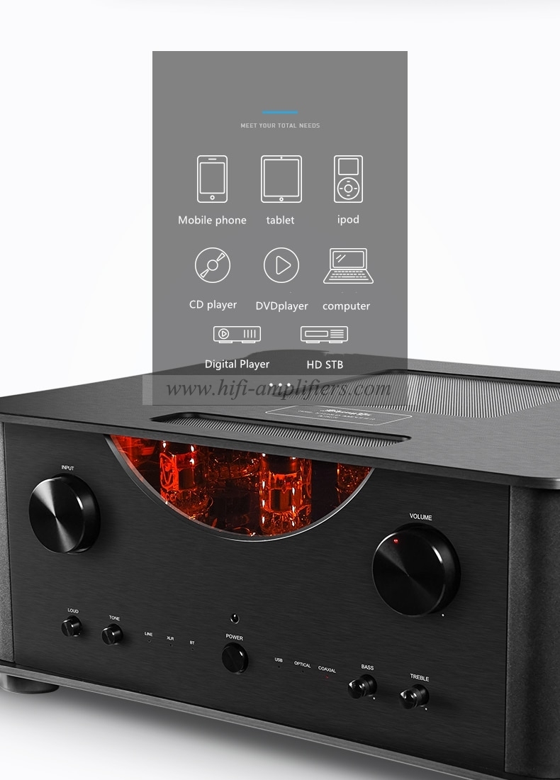 ShengYa A25CS/A25CS Tube transistor Hybrid Integrated Amplifier with