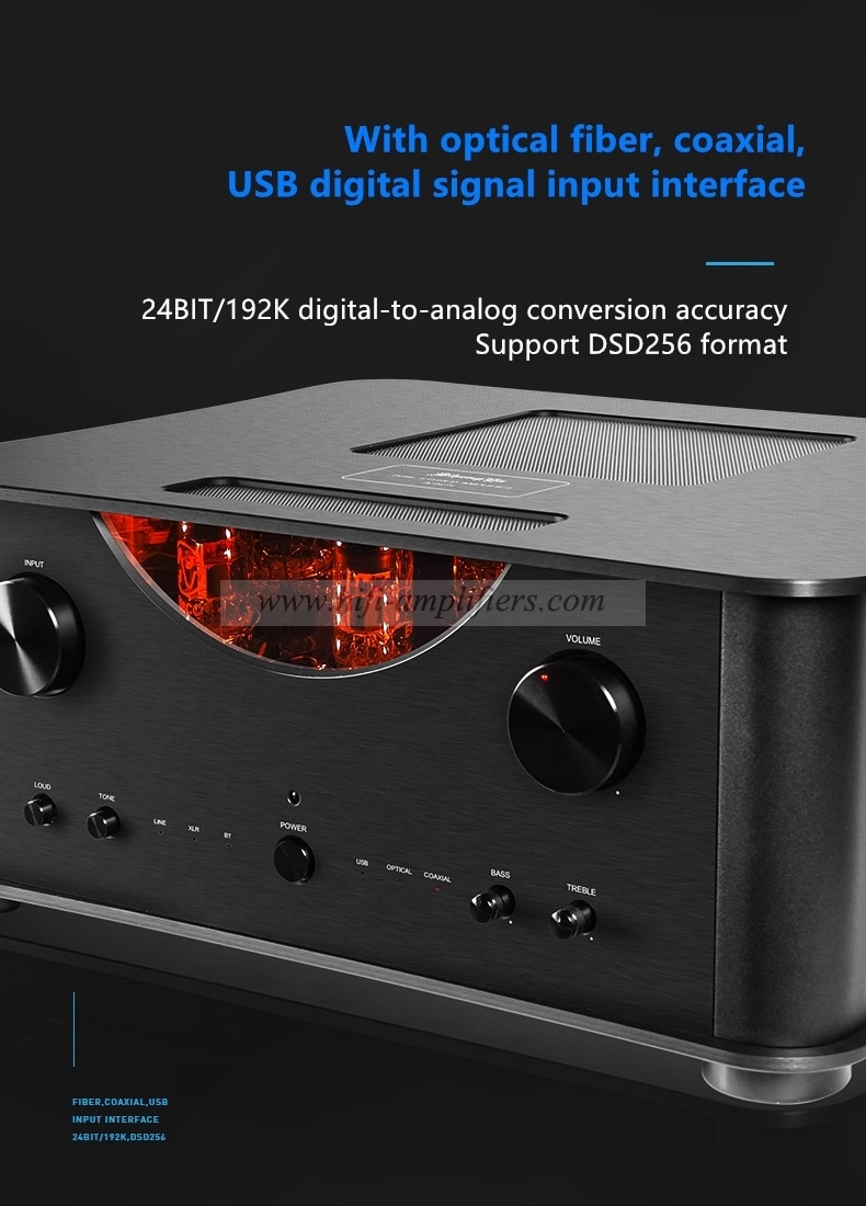 ShengYa A25CS/A25CS Tube transistor Hybrid Integrated Amplifier with