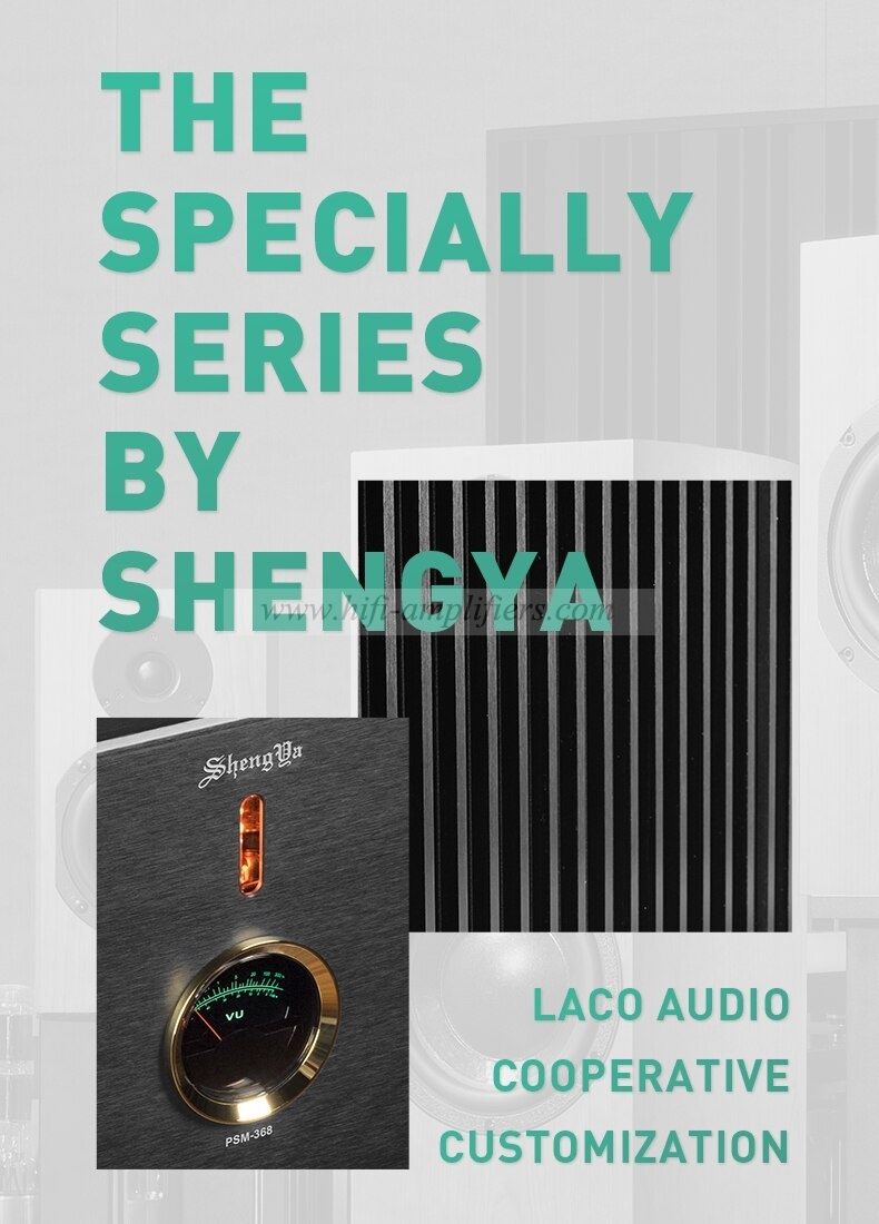 Shengya PSM-368 HI-end Mono Balanced Hybrid Class A Power Amplifier Brand New