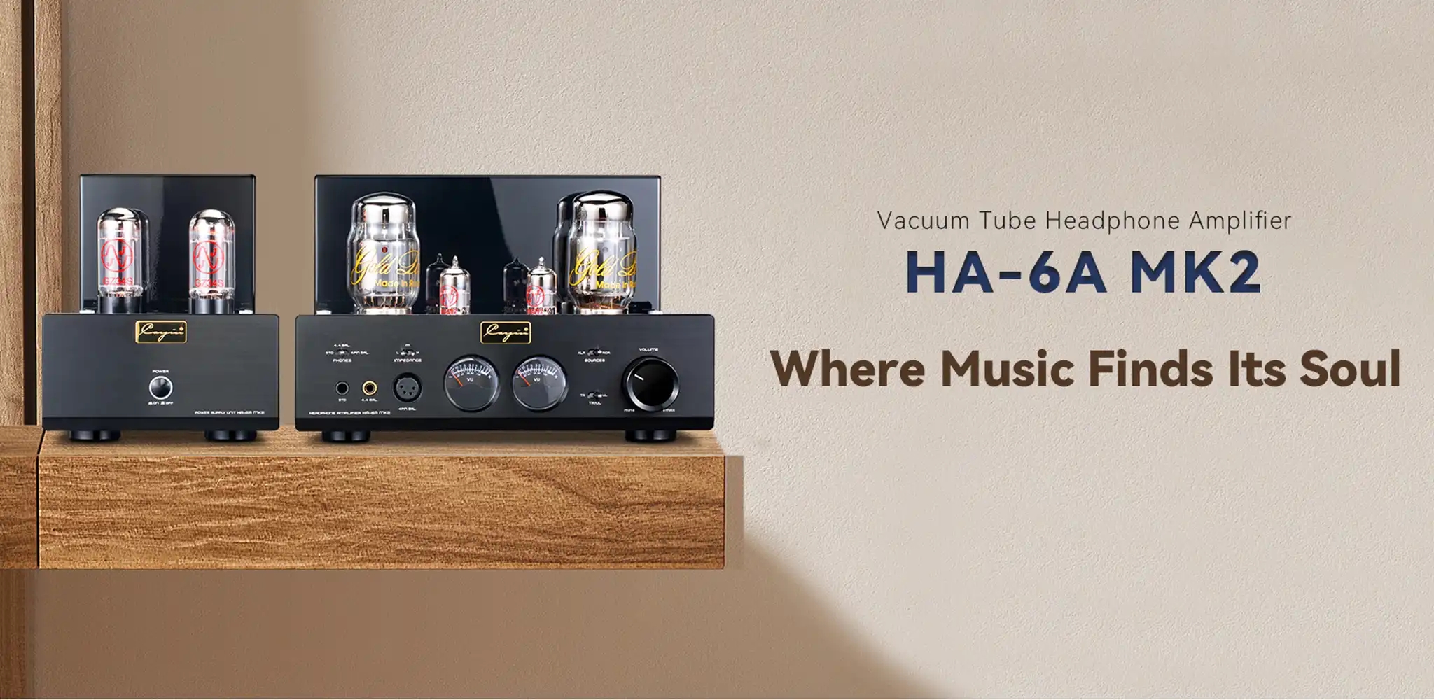 Cayin HA-6A MK2 Desktop Decoder Amp vacuum tube Balanced Class A Headphone Power Amplifier Cayin HA-6A MK2 Desktop Decoder Amp vacuum tube Balanced Class A Headphone Power Amplifier