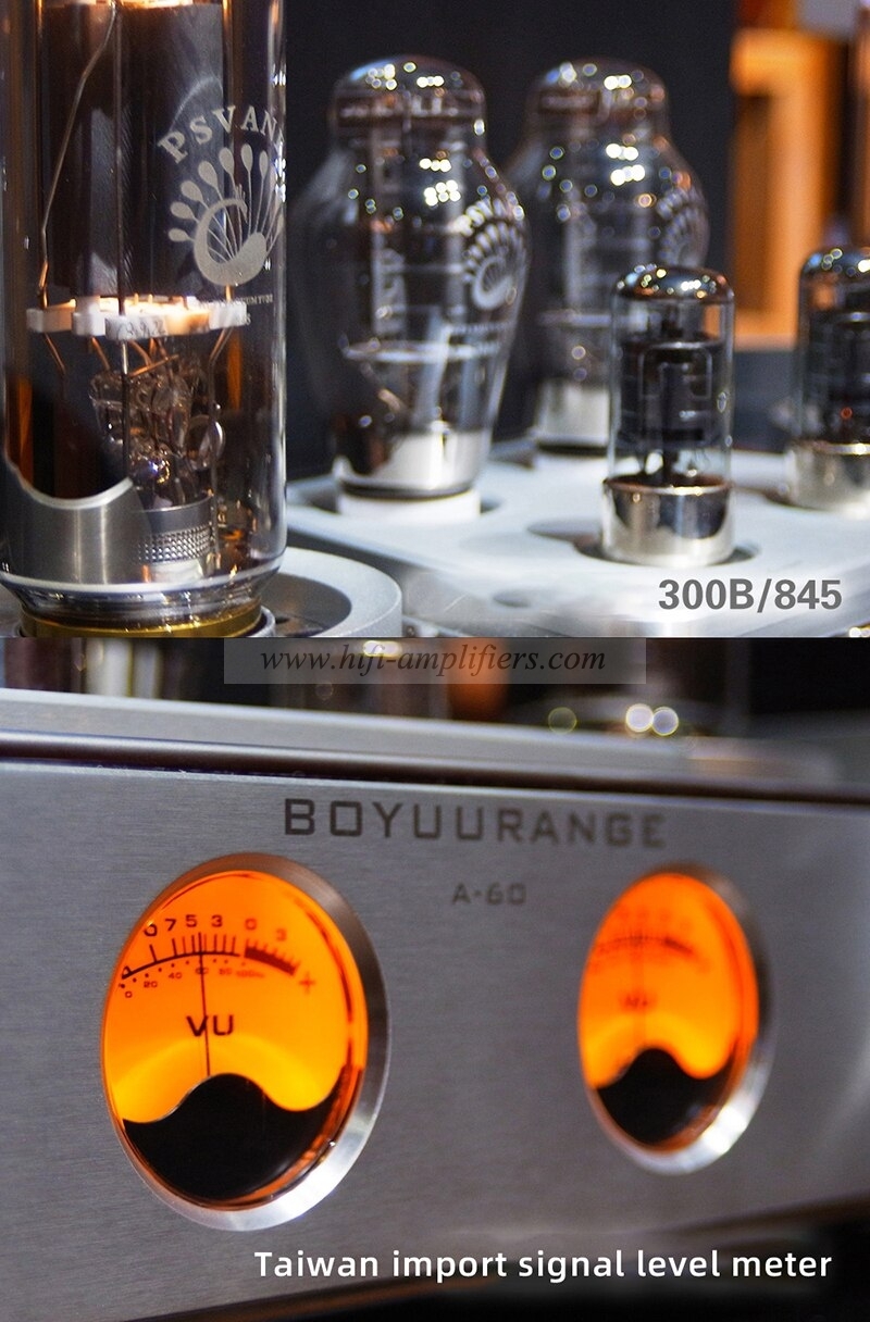 REISONG Boyuu A60 845 Single-ended tube Amplifier HIFI Intergrated Amplifier Brand New