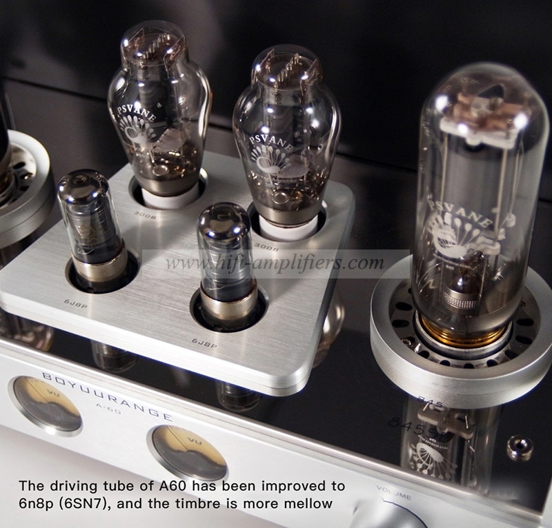 REISONG Boyuu A60 845 Single-ended tube Amplifier HIFI Intergrated Amplifier Brand New