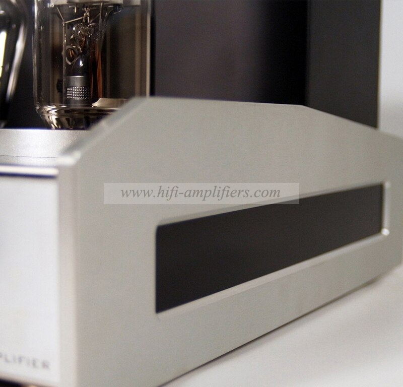 REISONG Boyuu A60 845 Single-ended tube Amplifier HIFI Intergrated Amplifier Brand New