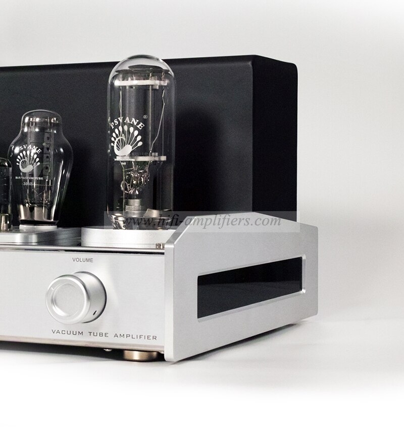 REISONG Boyuu A60 845 Single-ended tube Amplifier HIFI Intergrated Amplifier Brand New