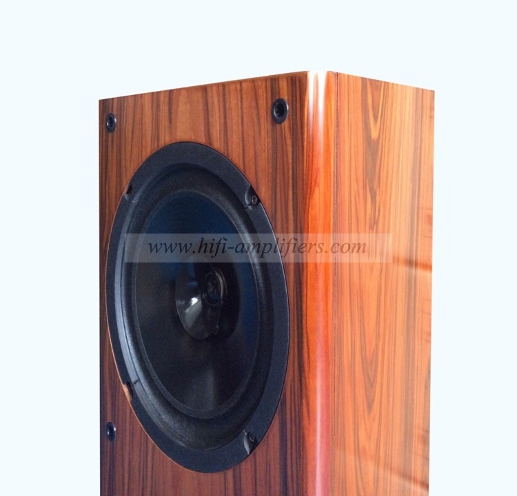 REISONG Boyuu K8 HIFI Audio Bookshelf Loudspeaker Audiophile Passive Speaker Pair New