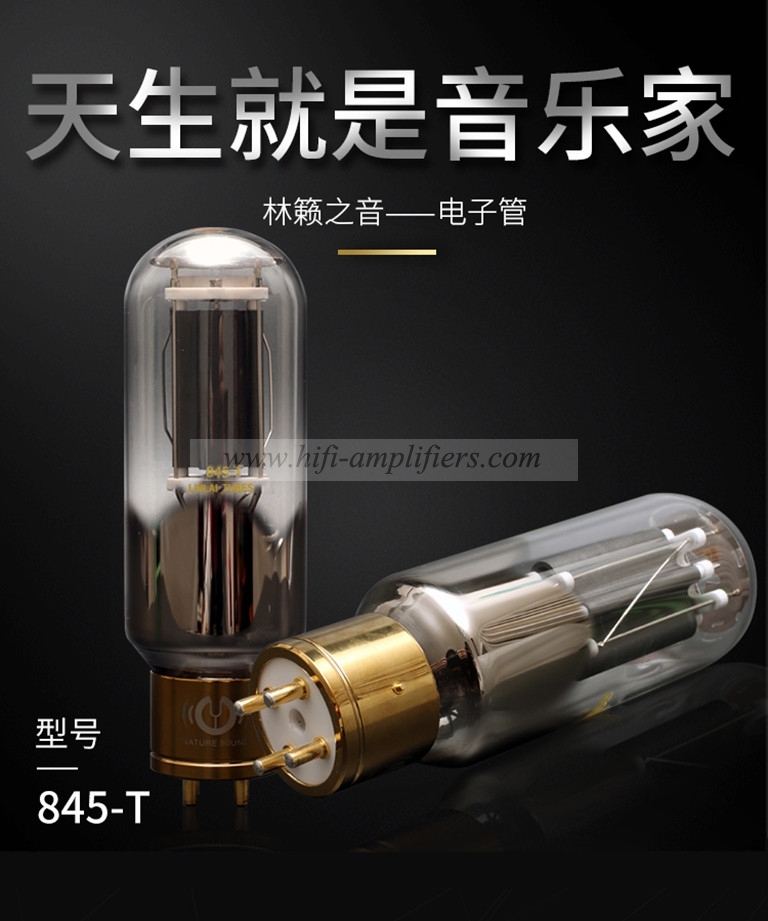 LINLAITUBE 845-T Hi-end Vacuum Tube Replace Shuguang 845 Matched Pair