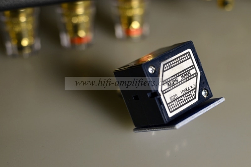 Raphaelite ORIGIN 300B HIFI Bluetooth Tube Amplifier Single Ended Class A Lamp Amplifier