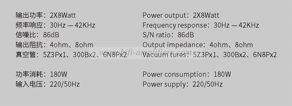 REISONG Boyuu S50 300 Single-ended tube Amplifier HIFI Intergrated Amplifier Brand New