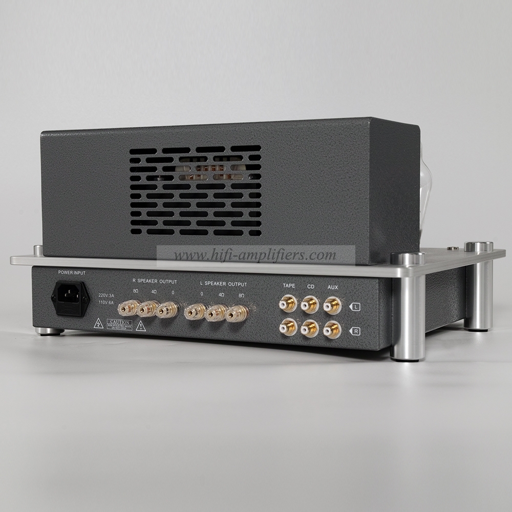 REISONG Boyuu S50 300 Single-ended tube Amplifier HIFI Intergrated Amplifier Brand New