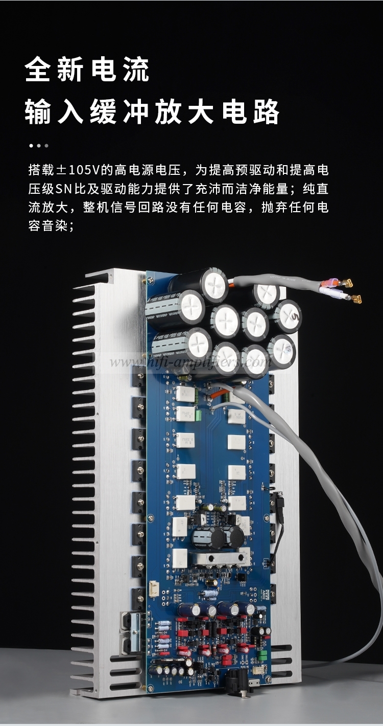 PAIYON A602 Mono Power Amplifier HIFI Audio amplifier Pair Brand New