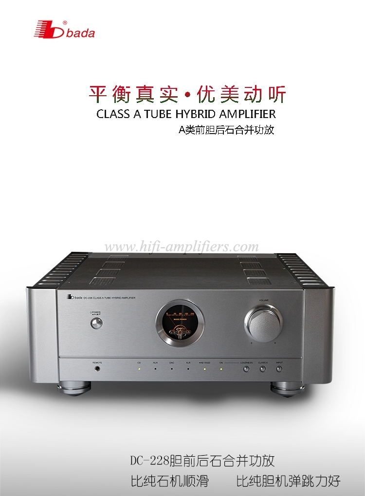 Bada DC-228 Class A tube Hybird Amplifier High Power Audio Amplifier