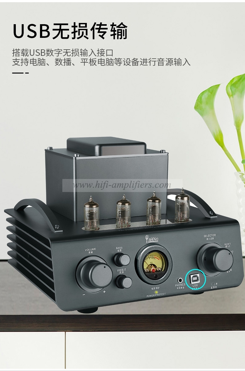 Yachen CS - 201 front post - biliaire combiné amplificateur de