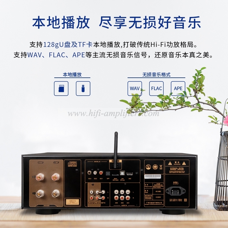 ToneWinner AD-89D HIFI Digital CD player Bluetooth Lossless Home HiFi Power Amplifier All-in-one