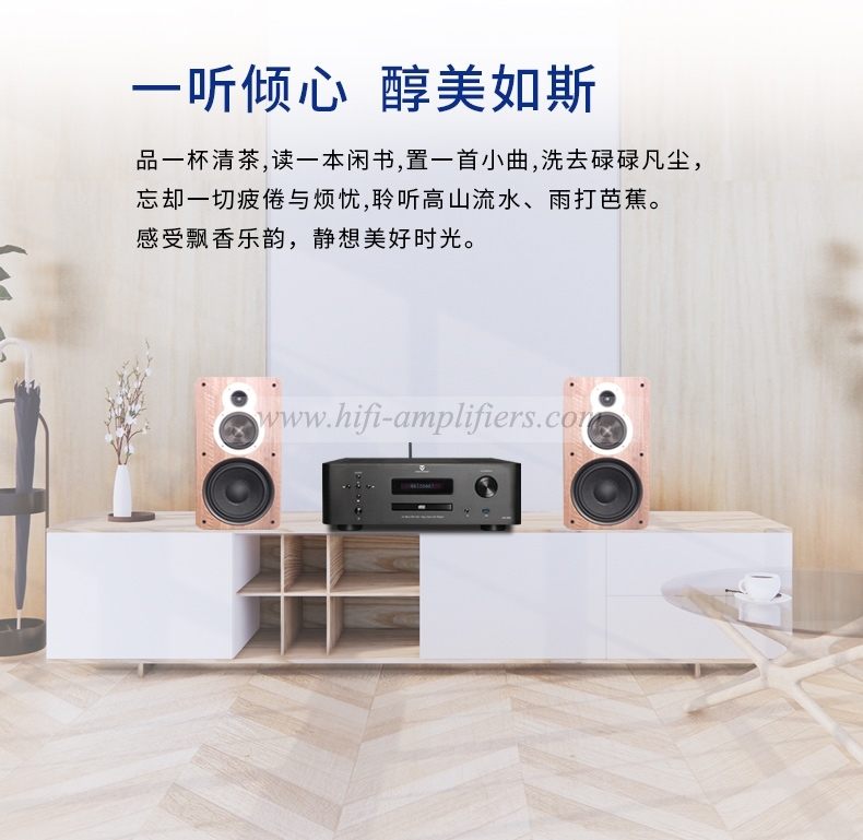 ToneWinner AD-89D HIFI Digital CD player Bluetooth Lossless Home HiFi Power Amplifier All-in-one