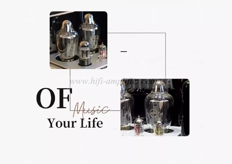 Line Magnetic LM-603PA KT170 Vacuum Tube Mono-block Power Amplifier A Pair