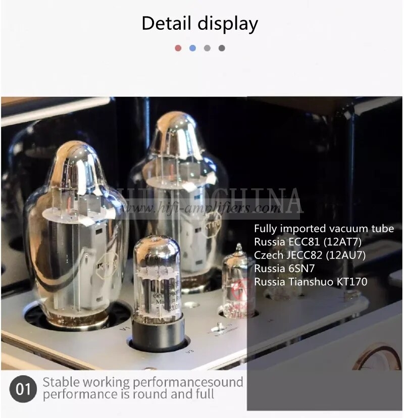 Line Magnetic LM-603PA KT170 Vacuum Tube Mono-block Power Amplifier A Pair