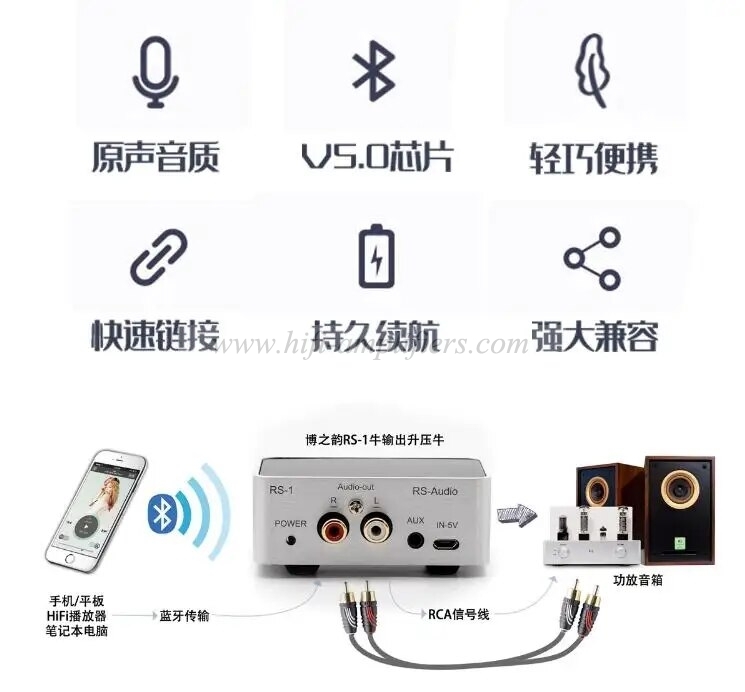 REISONG Boyuu RS-1 Linear Bluetooth 5.0 HiFi Audio Output AptX-HD Lossless Sound Transmission Audio