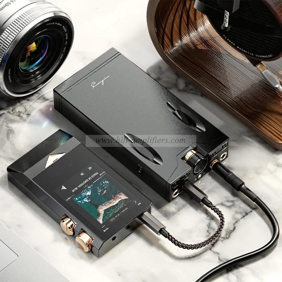 Cayin C9 Balanced Tube Portable Headphone Amplifier Class A and AB Selection Support 3.5mm SE 4.4mm BAL Removable Battery Module