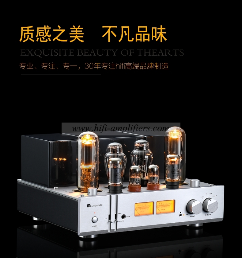 MUZISHARE X11 Class A Sinle-ended 845 Tube Integrated & Power Amplifier 28W*2