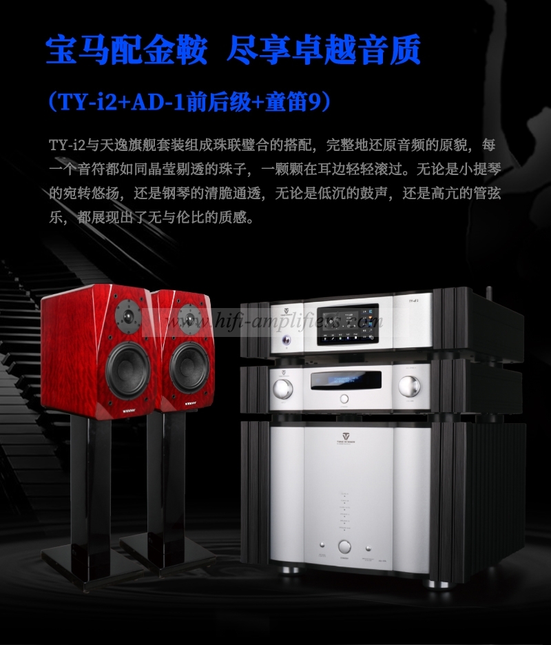 ToneWinner TY-i2 HiFi Lossless DSD Streaming Media Digital Broadcast Home NAS Network Music Playback Decoder