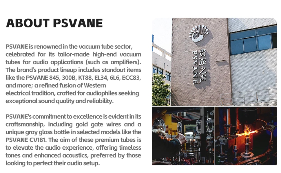 Psvane UK300B PLUS Hi-end Vacuum tubes Electric tubs Matched Pair