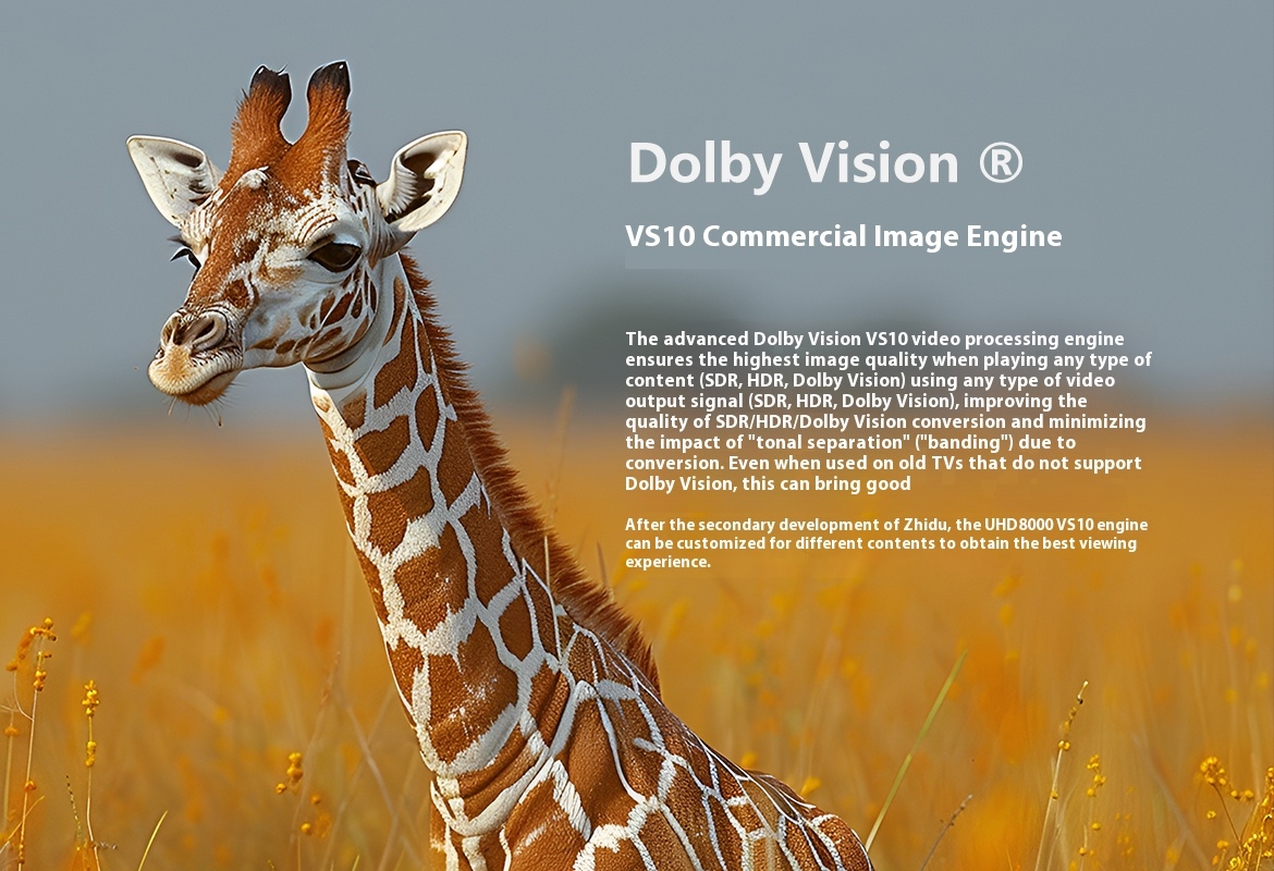 ZIDOO UHD8000 Blu ray Player High-definition Panoramic Hard Disk Player 8K UHD Dolby Vision Dolby HIFI Decoder ZIDOO UHD8000 Blu ray Player High-definition Panoramic Hard Disk Player 8K UHD Dolby Vision Dolby HIFI Decoder