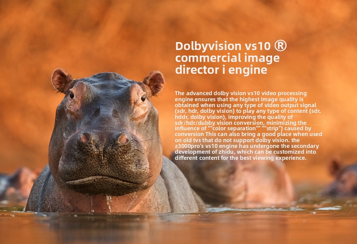 ZIDOO Z3000PRO 8K UHD Blu-ray Hard Drive Player Dolby Atmos Home Theater ZIDOO Z3000PRO 8K UHD Blu-ray Hard Drive Player Dolby Atmos Home Theater