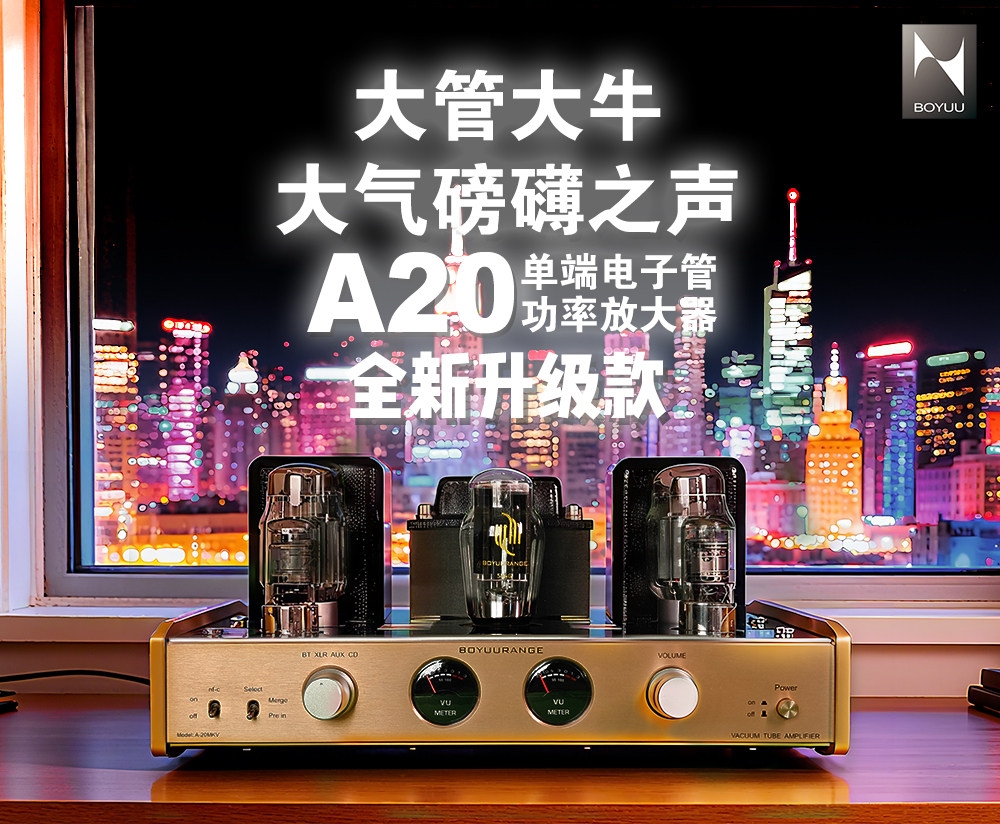 REISONG Boyuu A20MKV KT88 tube Amplifier HIFI Single-ended tube Amplifier 2025 Version