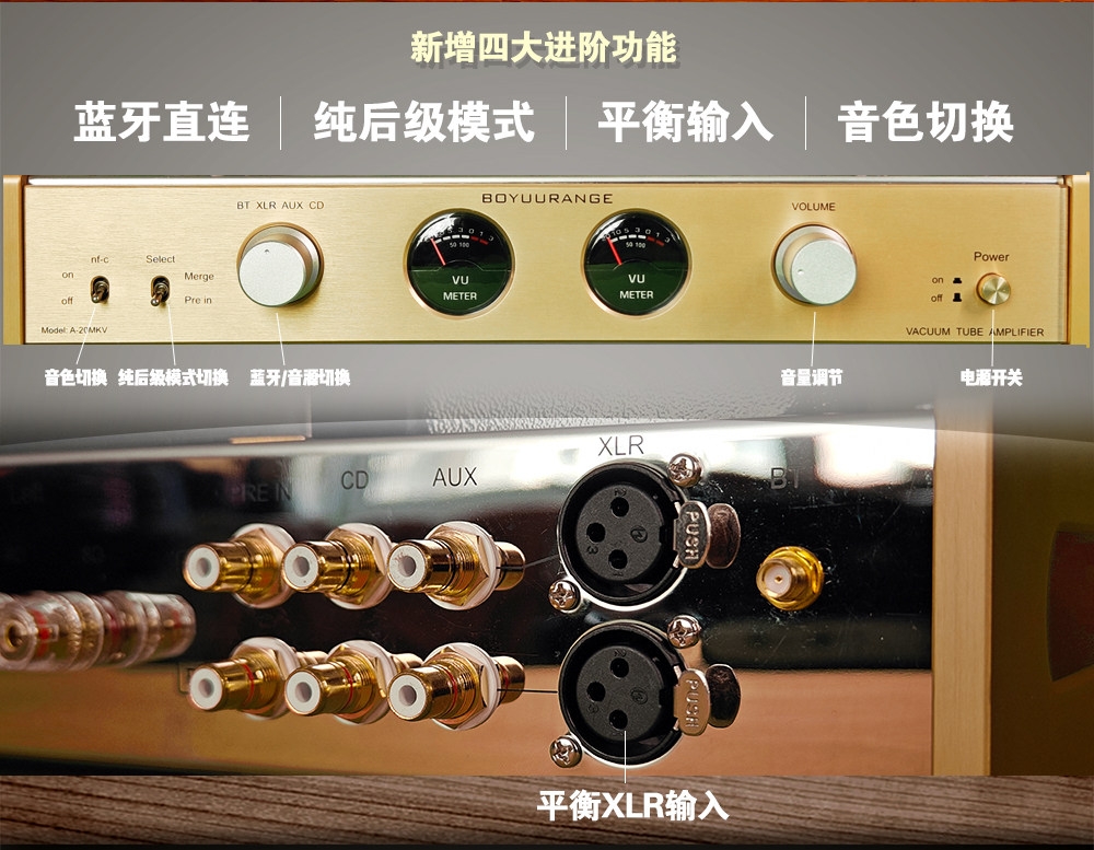 REISONG Boyuu A20MKV KT88 tube Amplifier HIFI Single-ended tube Amplifier 2025 Version