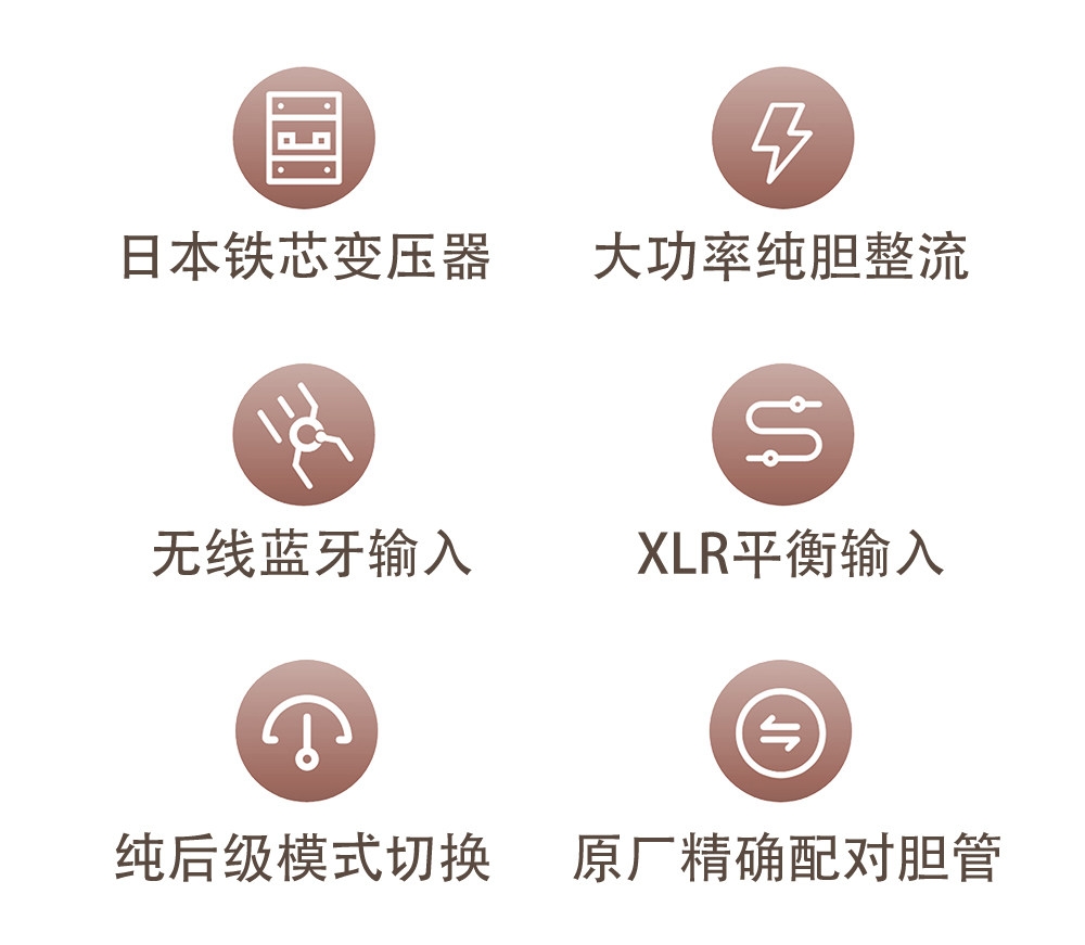 REISONG Boyuu A20MKV KT88 tube Amplifier HIFI Single-ended tube Amplifier 2025 Version